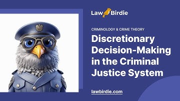 Discretionary Decision-Making in the Criminal Justice System - Essay Example