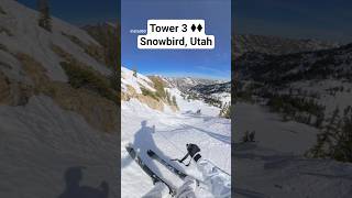 First Double Black at Snowbird #skiing #bluebird #icy #insta360 #snowbird #utah