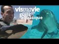 Travailler dans un parc aquatique, avec Pascal Sellem - Vis ma vie