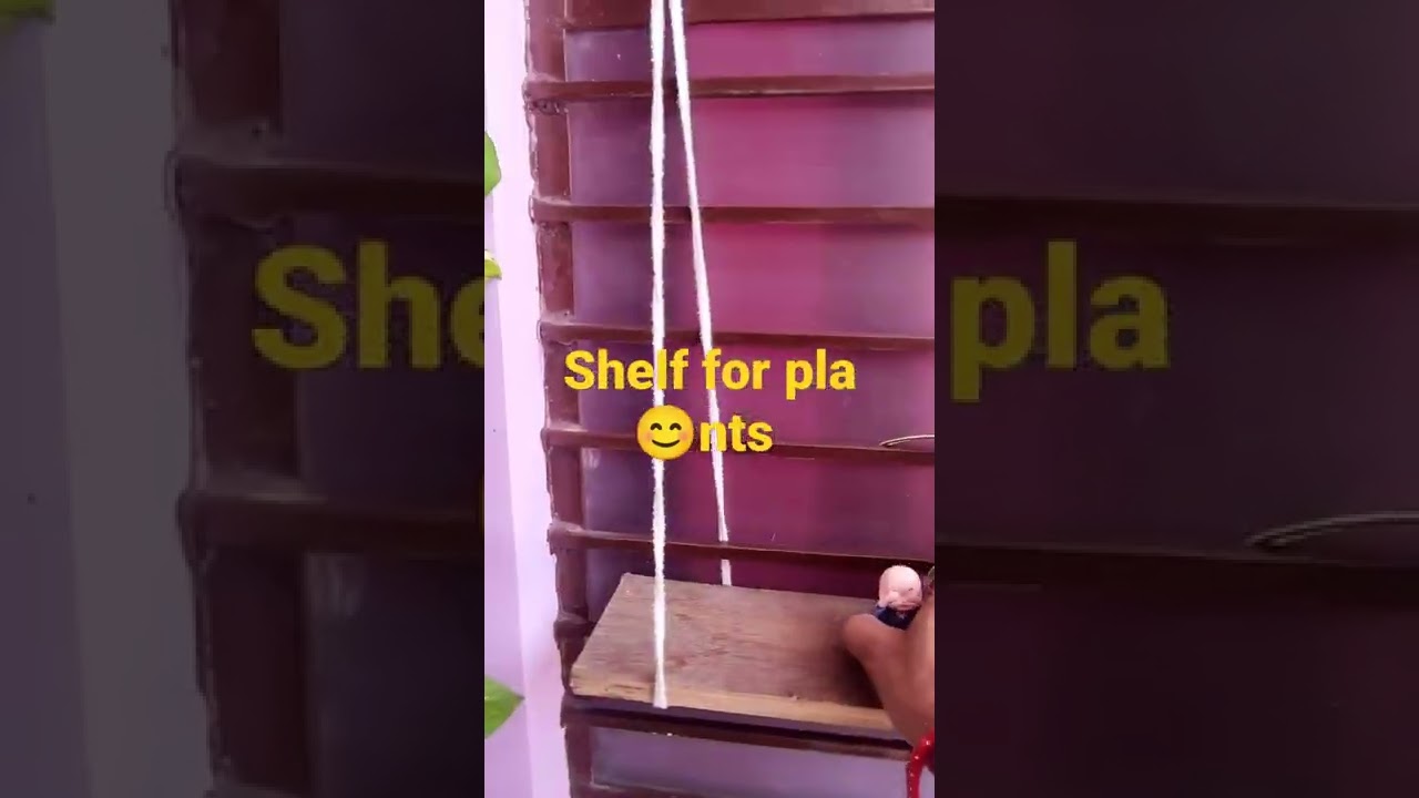 #shelf