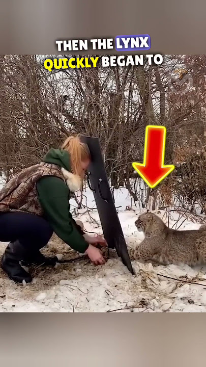 Watch how this lady cleverly freed the lynx - breathtaking moments -- #shorts