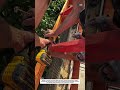 Perfect Roof Framing with a Cordless Drill! | Carpentry Skills in Action