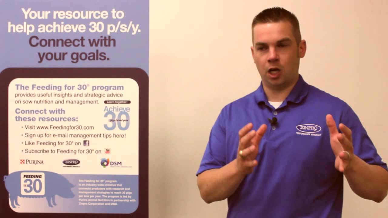 Zac Rambo Feeding for 30: Zach Rambo on maintaining a balanced parity structure ...