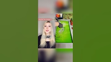 #pov Everyday a new leader is chosen, you must follow whatever the leader does or else.. #acting