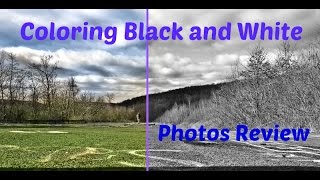 How To Color Black and White Photos Automatically: Algorithmia Review