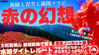 Yamato Katsuragiyama [Mizukoshi Daitrail Route] Fresh greenery