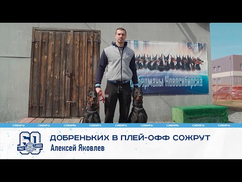 "Добреньких в плей-офф просто сожрут" - Алексей Яковлев в откровенном интервью Сибирь ТВ