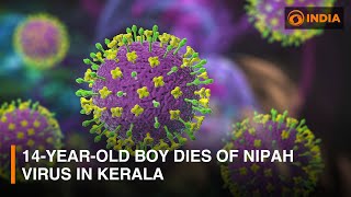 14-year-old boy dies of Nipah virus in Kerala's Malappuram district | DD India screenshot 4