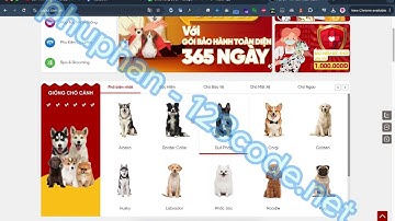 [Đồ án 2024] P2 Nodejs express reactjs mongoDB - Pet manage - 123code.net