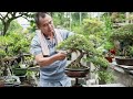 QUÁ ĐƠN GIẢN  Có Cây Chơi Ngay Lập Tức Cách làm Hay Nhẩt Của Thắng Giò Mà Rất Nhiều người Thích