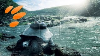 Speed art - Black Tortoise of the North ( #Photoshop CS5 ) CreativeStation