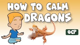 How To Calm Down Bearded Dragons