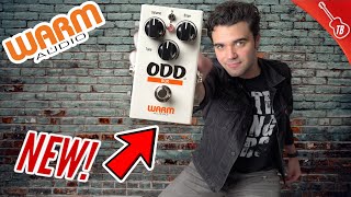 Warm Audio ODD Box V1 Overdrive Pedal - Review & Demo!