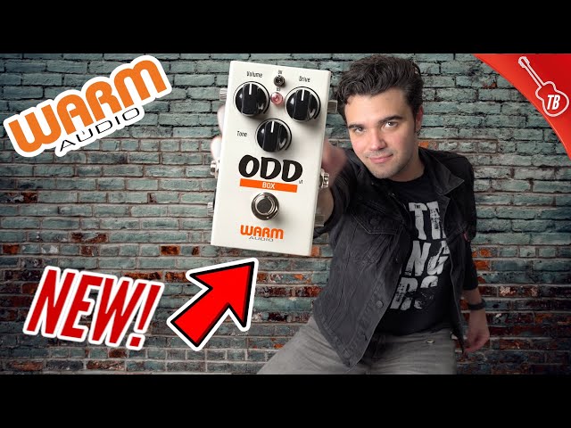Warm Audio ODD Box V1 Overdrive Pedal - Review & Demo! - YouTube