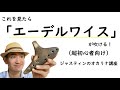 【初心者向けやさしい解説】これを見たら「エーデルワイス」が吹ける!(オカリナ演奏講座)
