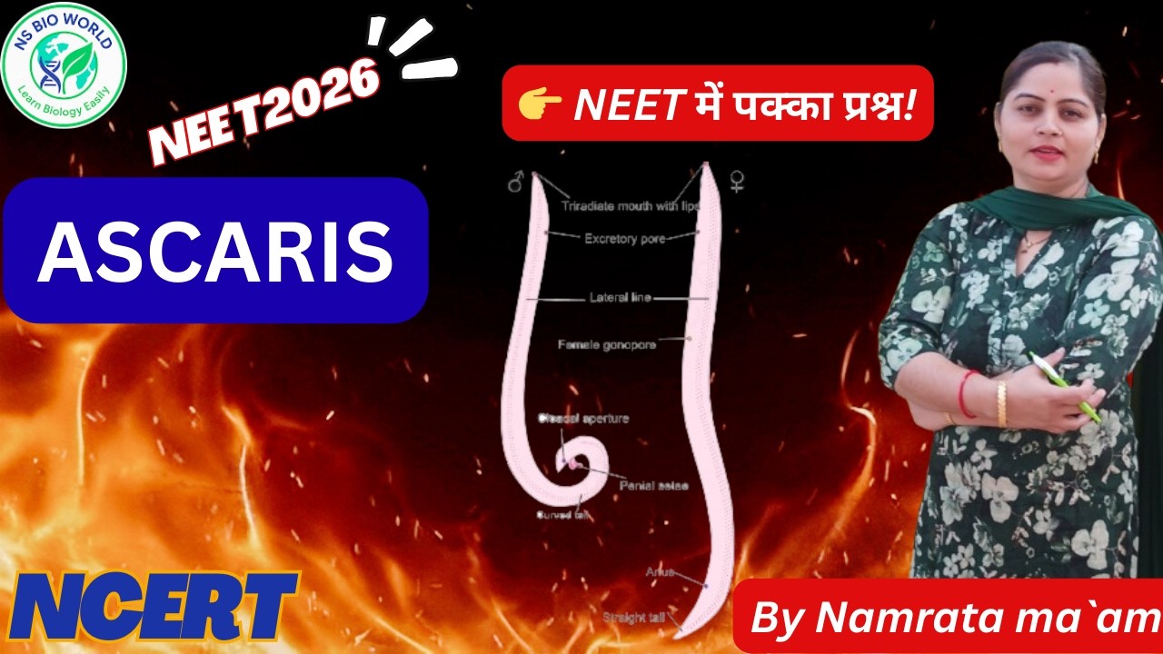 Ascaris (Roundworm) Full Explanation | Aschelminthes | NEET Biology class 11 biology