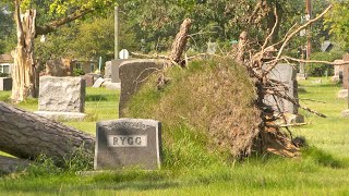 Volunteers Needed in Bemidji for Greenwood Cemetery Storm Cleanup | Lakeland News