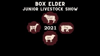 Market Beef Show, Bucket Calf Show & Jr. Dairy Heifer Show