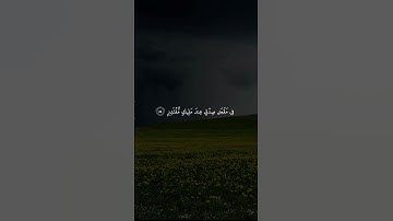 الشيخ محمد صديق المنشاوي رحمه الله | تلاوة رائعة من سورة القمر