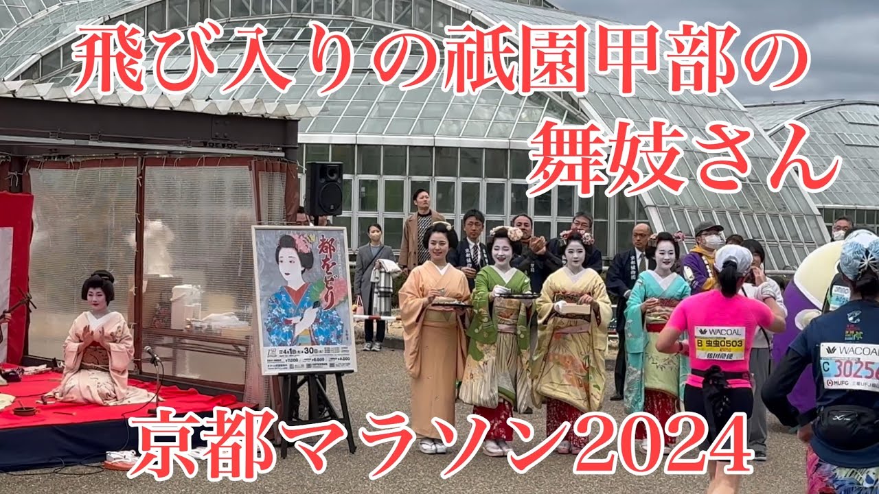 飛び入りの舞妓さんも応援する京都マラソン2024 Maiko in Gion, Kyoto 【4K】
