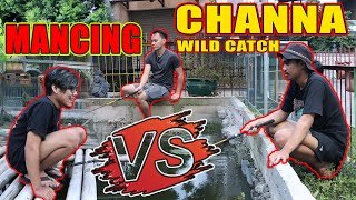 WHO GETS THE MOST CHANNA??? @Buddyfish Channel vs @Bang Fish vs @Fajar Arief