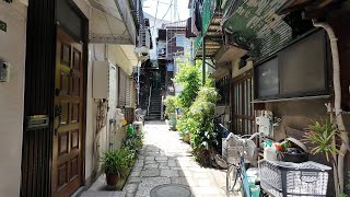 本郷を散歩【4K東京街歩き】Japan Tokyo 4K walkingtour/Hongo