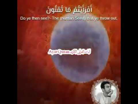 حالات واتساب الشيخ خضر