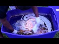 Middle of video
