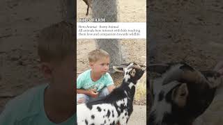 Dubai Safari Park And The Amazing Animals Worth Seeing