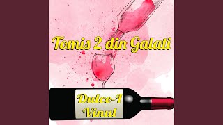 Domnu Politist