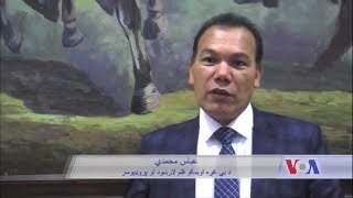 صدای آشنا  Sessiz Gözyaşları