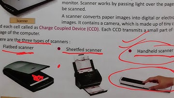 Class 4 Computer | Lesson -1 Input and Output Devices | by Rohit Sir