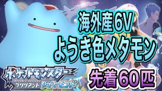 新しい到着 ダイパリメイク1 1 1留め 6v海外メタモンなど 両データ入り 通販限定 新しい到着 ダイパリメイク1 1 1留め 6v海外メタモンなど 両データ入り 通販限定