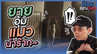 ยายอุ้มแมว ...แต่ไหนยาย?!! : โซเชียลสนุกจังโว้ย l VRZO