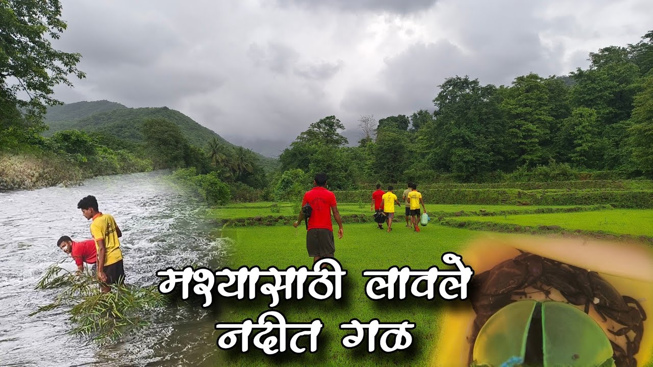 माश्यासाठी लावले नदीत गळ 🐟 | मिळाले खेकडे 🦀| #kokancharohit #kokan #vlog #fishing