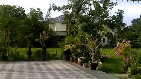Blackberry Torch 9800 video test Part 1