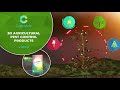 3D Animated Video for Agricultural Pest Control products