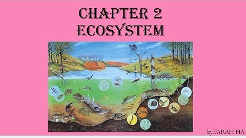 Science Form 2: Ecosystem Part 1