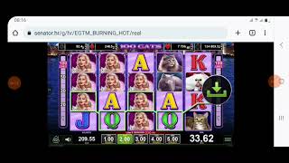 100 CATS SLOT (FREE SPINS, BIG WIN) #egt screenshot 2