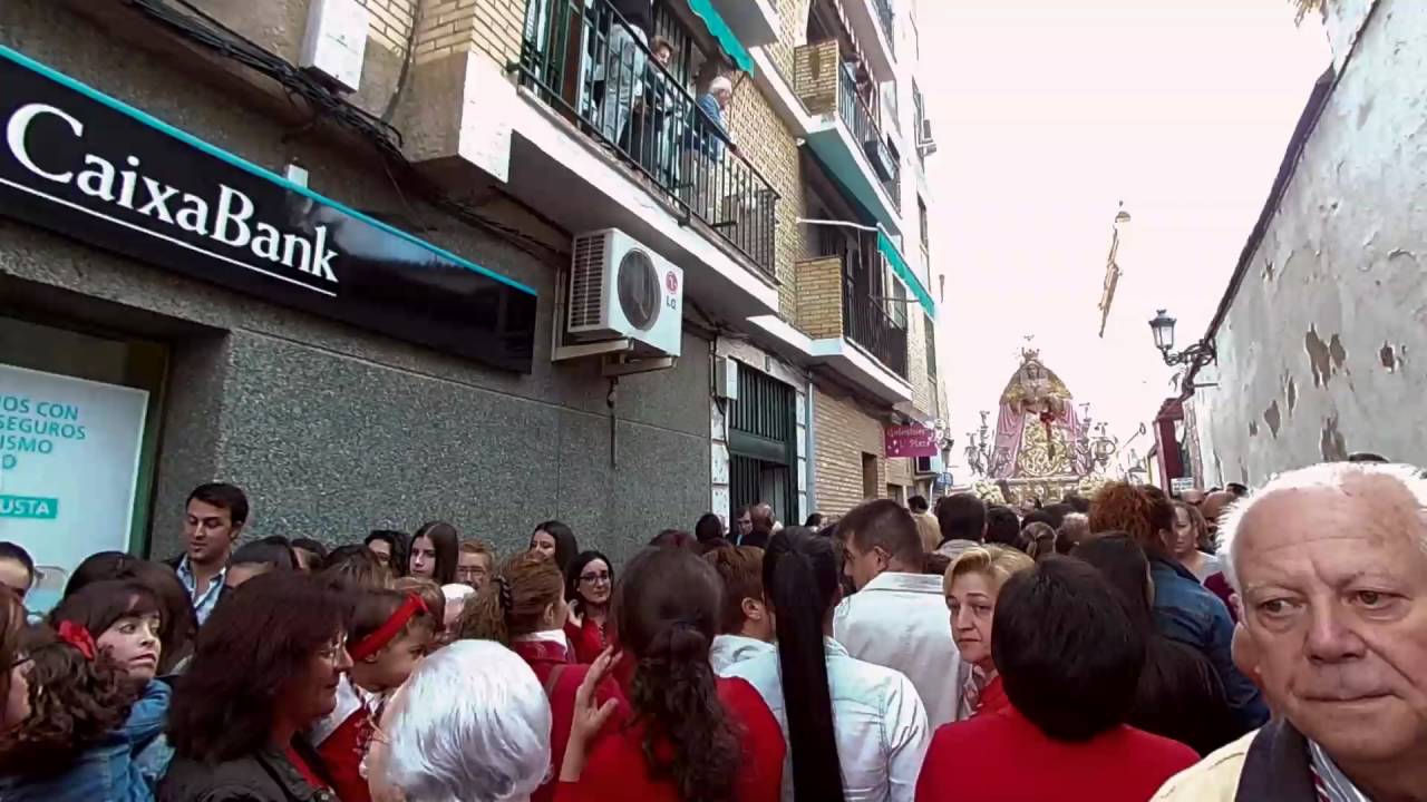 PETALOS DE ROSAS ,ROSARIO DE LA AURORA 2016, HDAD SOLEDAD HUEVAR