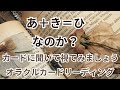 検証占いシリーズ《あ+き=ひ なのか❓》❇️視てみましょう❇️オラクルカードリーディング