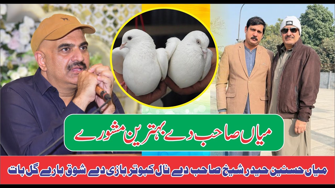 Mian Hasnain Haider Sheikh De nal Kabooterbazi de baray gal bat : Jora laaan baray mashwara