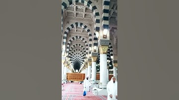 فداء 🤗💎💎💎🐳🐳🐳 سورة الكرسي
