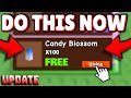 Grow a Garden Candy Blossom Codes 2025 ✅ How to get Candy Blossom in Grow a Garden (for FREE)
