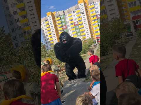 КингКонг сбил с ног мальчика 🙀 До конца!!! 🔥 оригинальное поздравление в Волжском🥳 #кингконгволжский