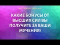 КАКИЕ БОНУСЫ ВЫ ПОЛУЧИТЕ ОТ ВЫСШИХ СИЛ ЗА ВАШИ МУЧЕНИЯ?