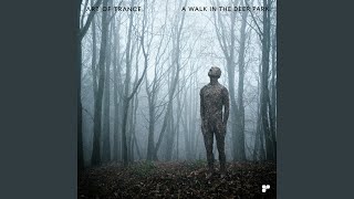 A Walk In The Deer Park (Tommaso De Donatis Remix)