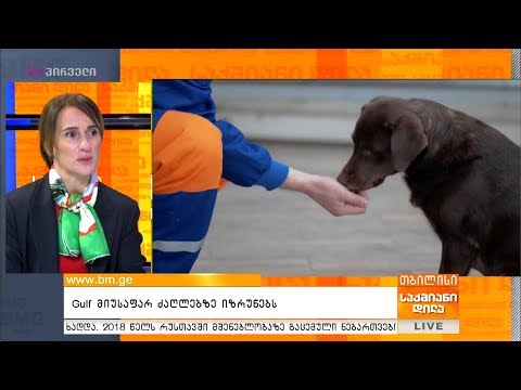 Gulf მიუსაფარ ძაღლებზე იზრუნებს