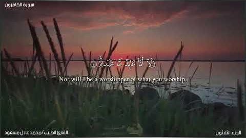 المصحف المرتل 📖 | تلاوات خاشعة ✨| ما تيسر من سورة الكافرون للقارئ الطبيب محمد عادل مسعود💛💫