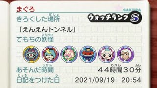 えんえんトンネルの中でセーブしたらどうなるの?【妖怪ウォッチ2】